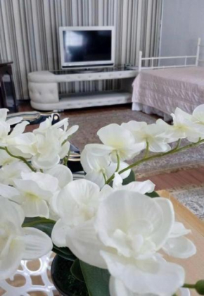 Singgah Keluarga Homestay Taman Merdeka Melaka